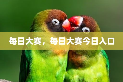 每日大赛，每日大赛今日入口