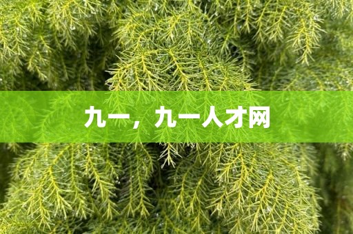 九一，九一人才网