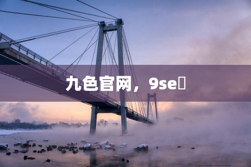九色官网，9se 