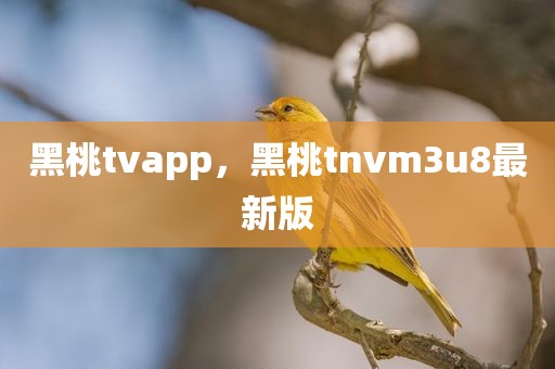 黑桃tvapp，黑桃tnvm3u8最新版