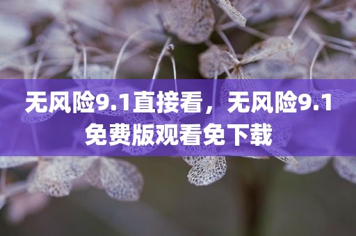 无风险9.1直接看，无风险9.1免费版观看免下载