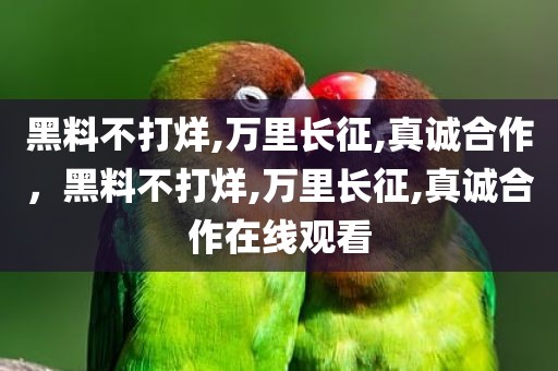 黑料不打烊,万里长征,真诚合作，黑料不打烊,万里长征,真诚合作在线观看
