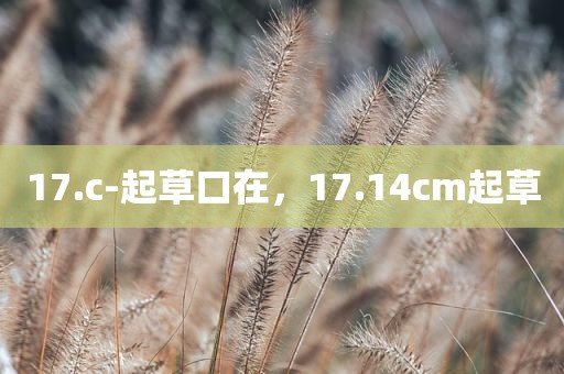 17.c-起草口在，17.14cm起草