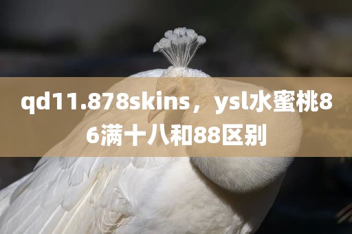 qd11.878skins，ysl水蜜桃86满十八和88区别