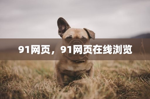 91网页，91网页在线浏览