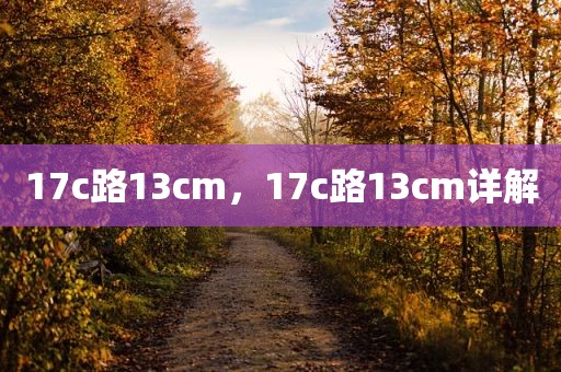 17c路13cm，17c路13cm详解