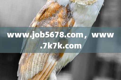 www.job5678.com，www.7k7k.com