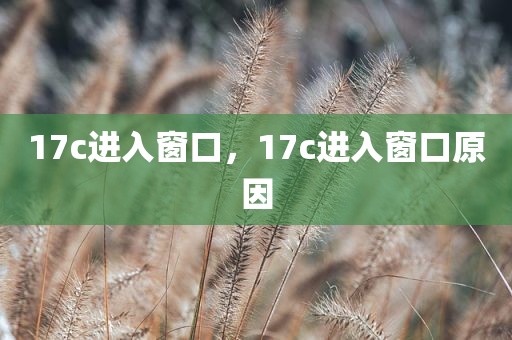 17c进入窗口，17c进入窗口原因