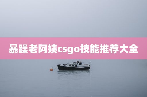 暴躁老阿姨csgo技能推荐大全