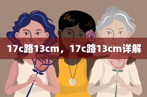 17c路13cm，17c路13cm详解