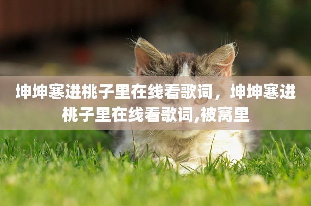坤坤寒进桃子里在线看歌词，坤坤寒进桃子里在线看歌词,被窝里