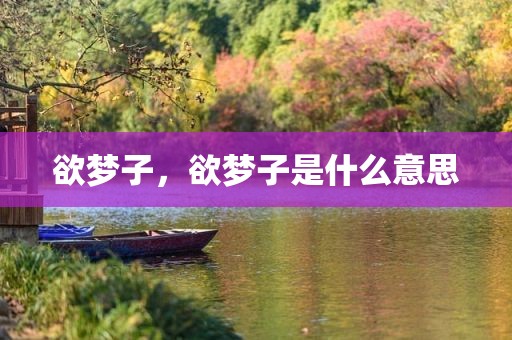 欲梦子，欲梦子是什么意思