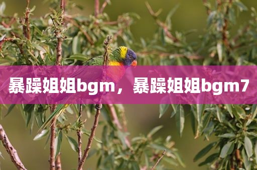 暴躁姐姐bgm，暴躁姐姐bgm7