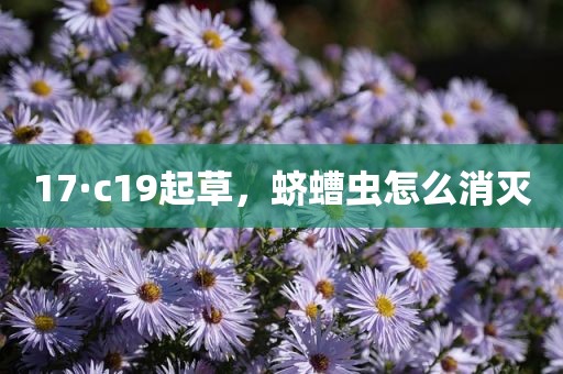 17·c19起草，蛴螬虫怎么消灭