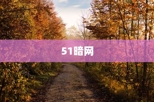 51暗网