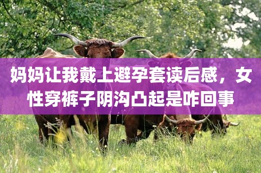 妈妈让我戴上避孕套读后感，女性穿裤子阴沟凸起是咋回事