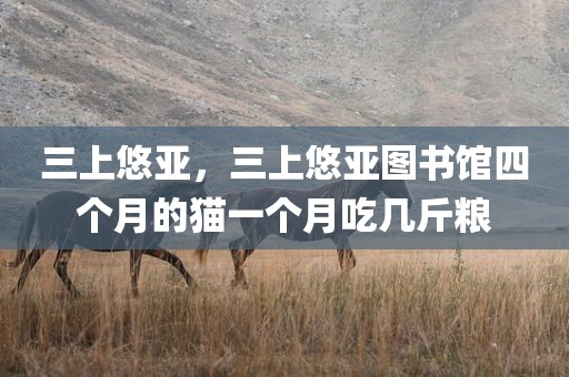 三上悠亚，三上悠亚图书馆四个月的猫一个月吃几斤粮