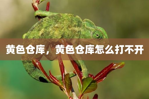黄色仓库，黄色仓库怎么打不开