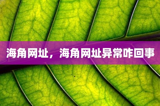 海角网址，海角网址异常咋回事