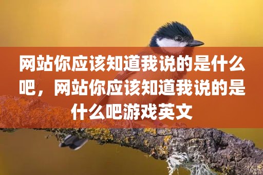 网站你应该知道我说的是什么吧，网站你应该知道我说的是什么吧游戏英文