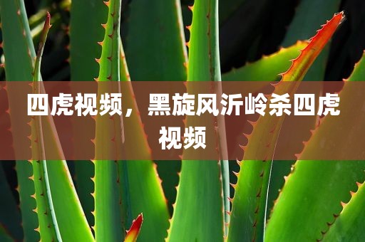 四虎视频，黑旋风沂岭杀四虎视频