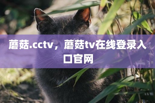 蘑菇.cctv，蘑菇tv在线登录入口官网