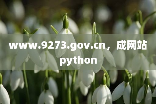 www.9273.gov.cn，成网站python