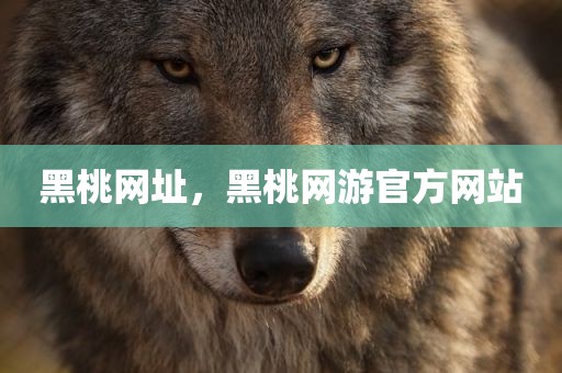 黑桃网址，黑桃网游官方网站