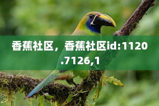 香蕉社区，香蕉社区id:1120.7126,1