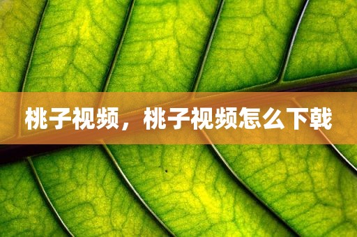 桃子视频，桃子视频怎么下戟