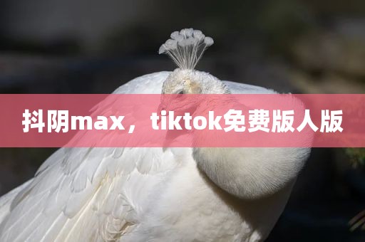 抖阴max，tiktok免费版人版