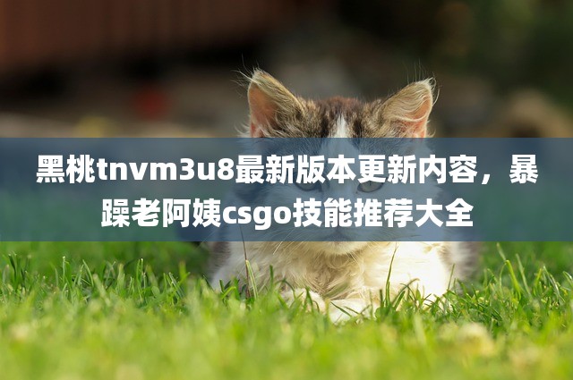 黑桃tnvm3u8最新版本更新内容，暴躁老阿姨csgo技能推荐大全