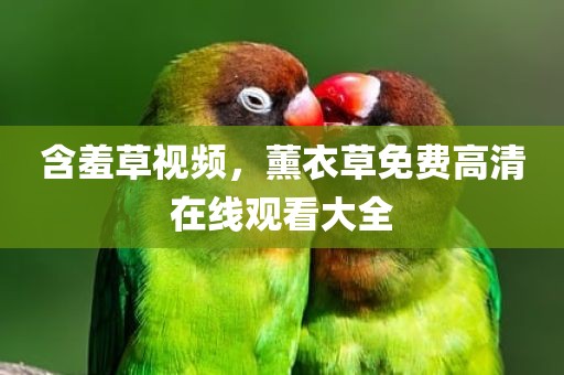 含羞草视频，薰衣草免费高清在线观看大全