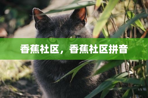 香蕉社区，香蕉社区拼音