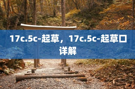 17c.5c-起草，17c.5c-起草口详解