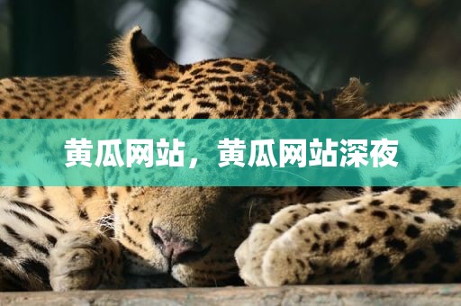 黄瓜网站，黄瓜网站深夜