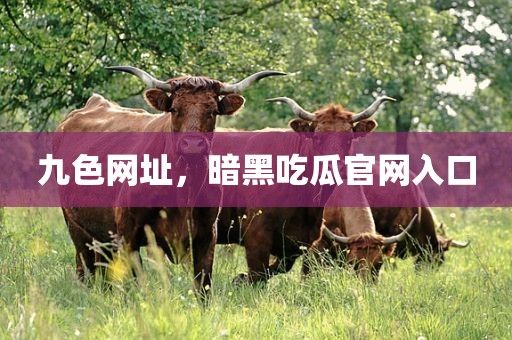 九色网址，暗黑吃瓜官网入口