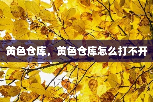 黄色仓库，黄色仓库怎么打不开