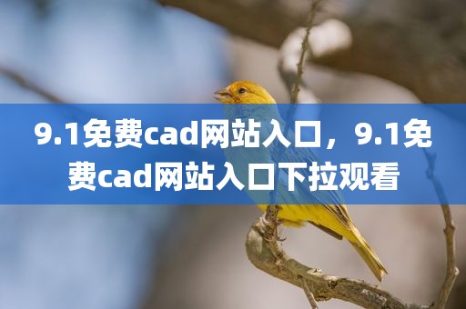 9.1免费cad网站入口，9.1免费cad网站入口下拉观看