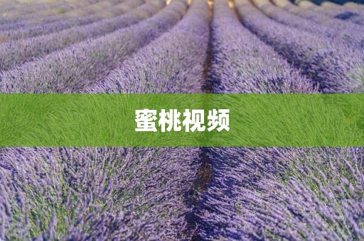 蜜桃视频