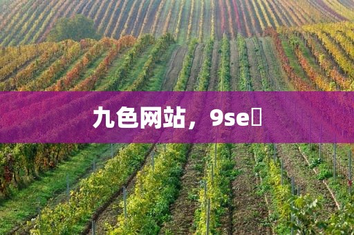 九色网站，9se 
