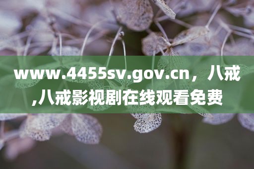 www.4455sv.gov.cn，八戒,八戒影视剧在线观看免费