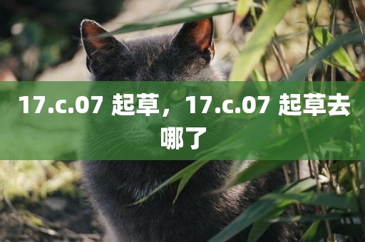 17.c.07 起草，17.c.07 起草去哪了