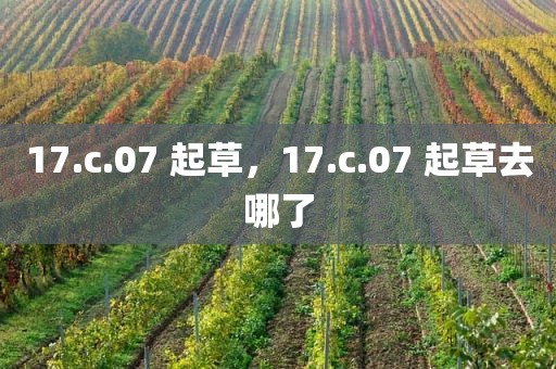 17.c.07 起草，17.c.07 起草去哪了