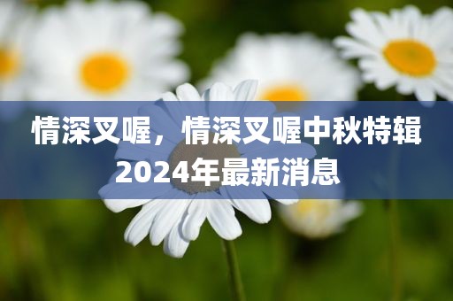 情深叉喔，情深叉喔中秋特辑2024年最新消息