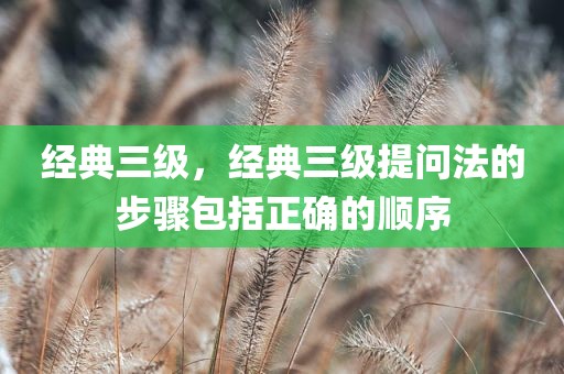 经典三级，经典三级提问法的步骤包括正确的顺序