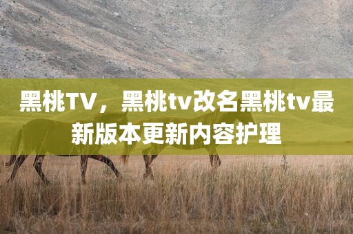 黑桃TV，黑桃tv改名黑桃tv最新版本更新内容护理