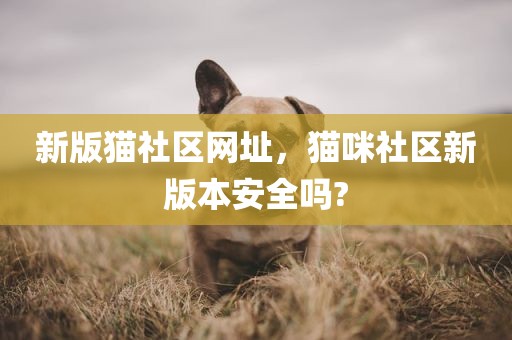 新版猫社区网址，猫咪社区新版本安全吗?