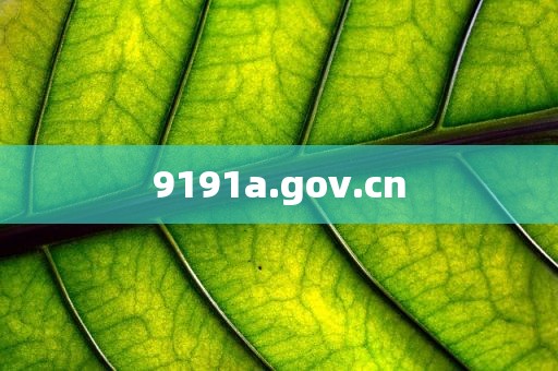 9191a.gov.cn