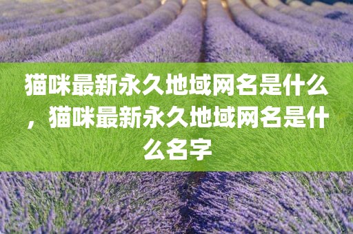 猫咪最新永久地域网名是什么，猫咪最新永久地域网名是什么名字
